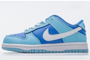 Kids Dunk SB E42